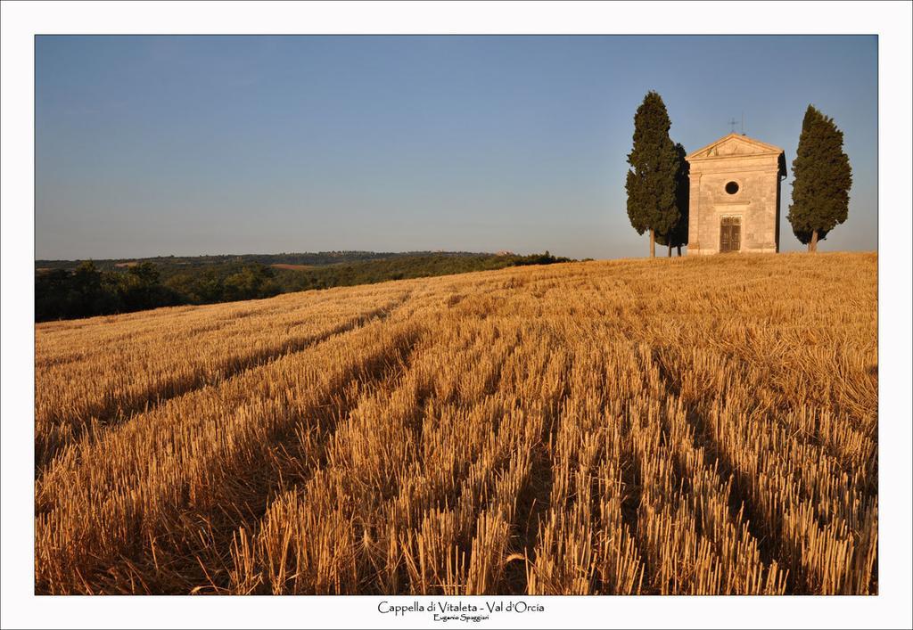 Casetta Del Pozzo * Seggiano